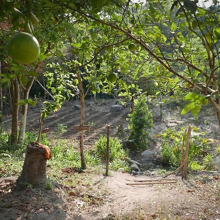 Finca Carpe Diem Ecolodge Minca Eksteriør bilde