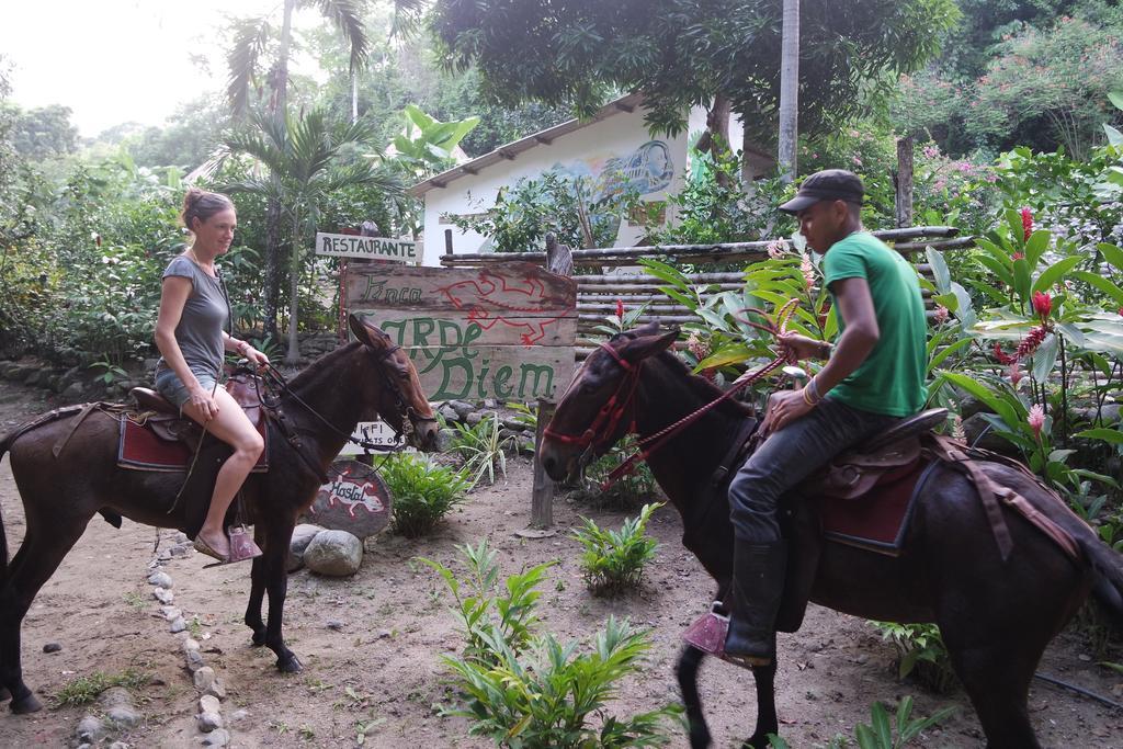 Finca Carpe Diem Ecolodge Minca Eksteriør bilde