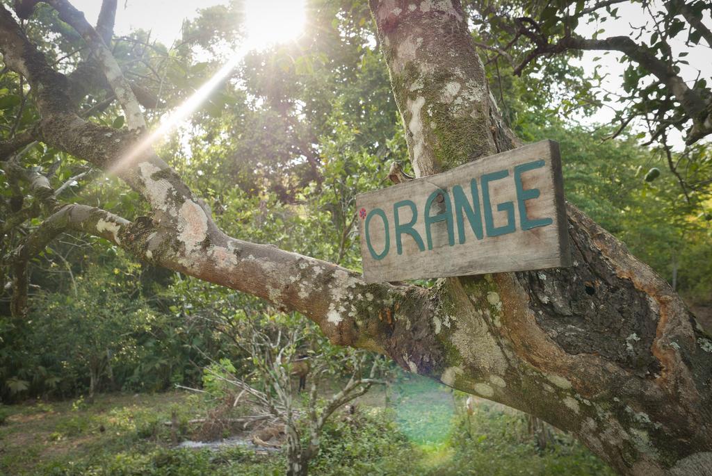 Finca Carpe Diem Ecolodge Minca Eksteriør bilde