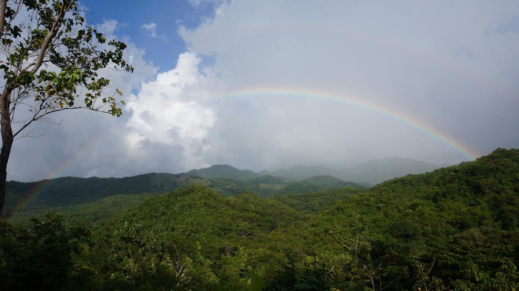 Finca Carpe Diem Ecolodge Minca Eksteriør bilde